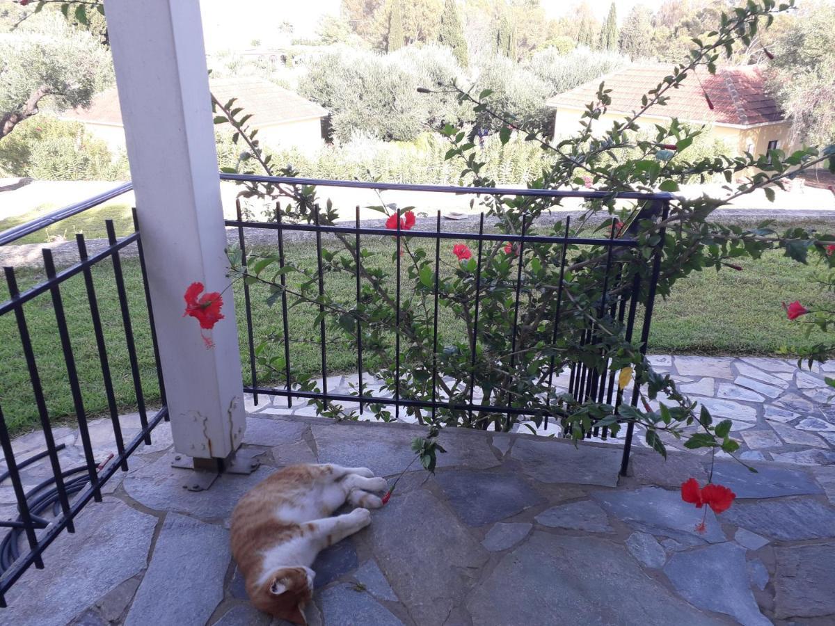 Thermanti Villas Szpartiá Kültér fotó